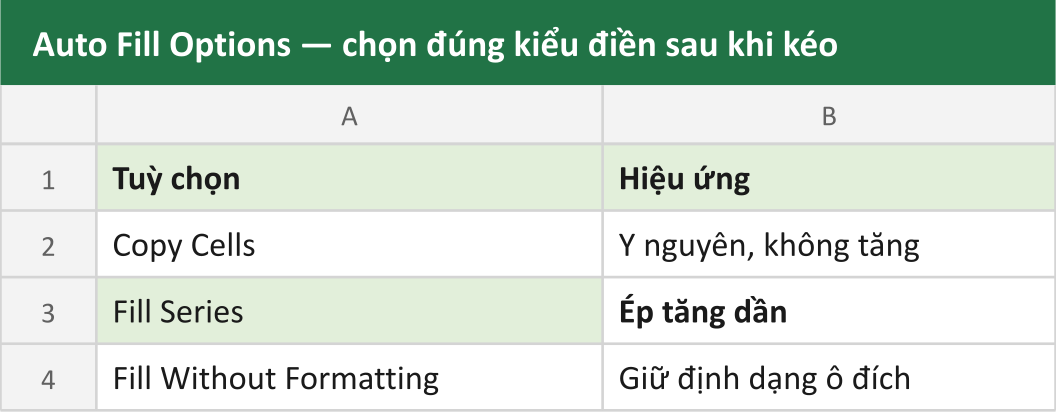Auto Fill Options — chọn đúng kiểu điền sau khi kéo
