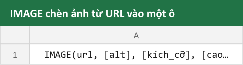 IMAGE chèn ảnh từ URL vào một ô